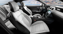 2016 Mustang 2-tone black & white Seats